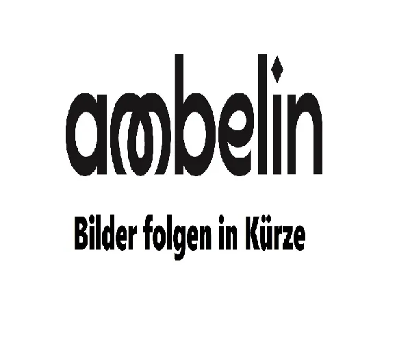 2-Zimmer-Altbauwohnung am S-Bhf. Hermannstraße sucht neue Mieter — photo 1